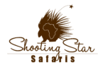 final shooting star logo 01