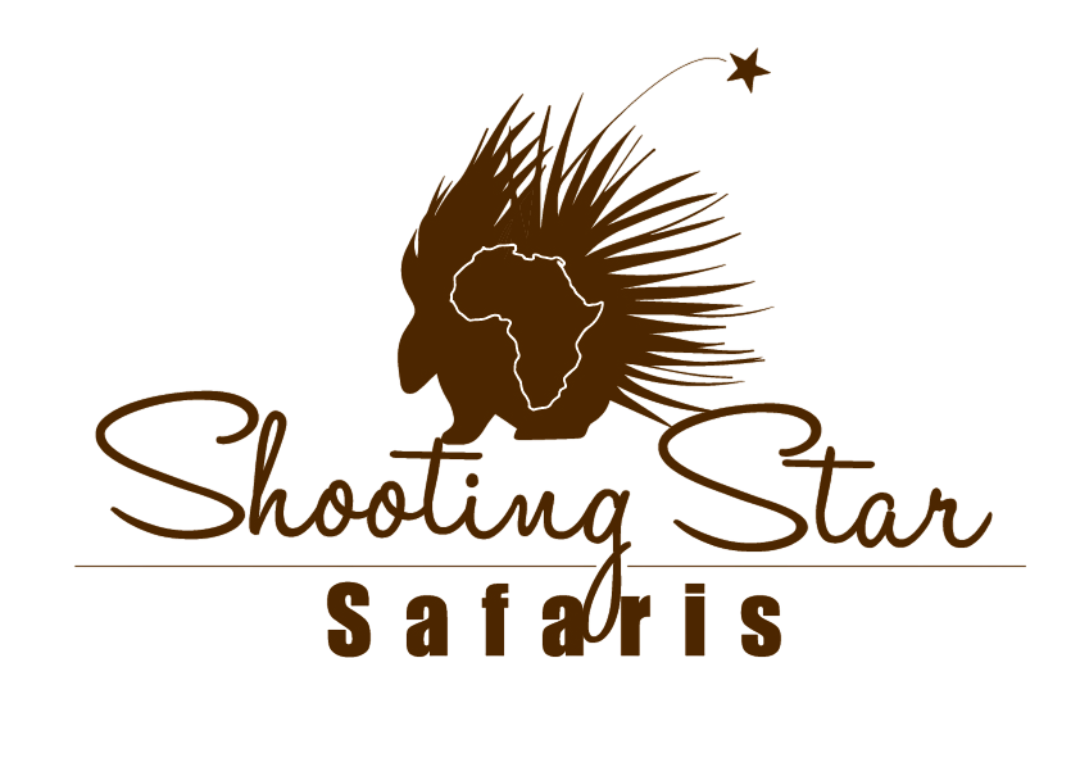 final shooting star logo 01